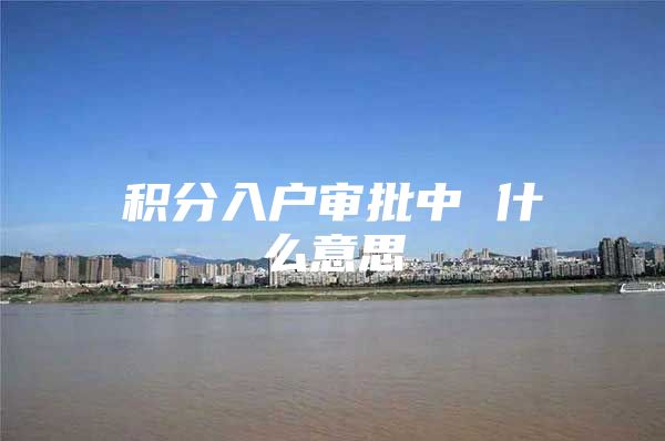 积分入户审批中 什么意思