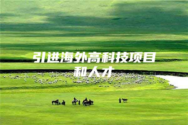 引进海外高科技项目和人才