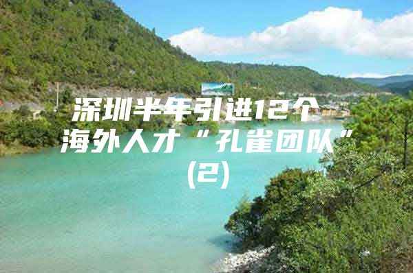 深圳半年引进12个 海外人才“孔雀团队”(2)