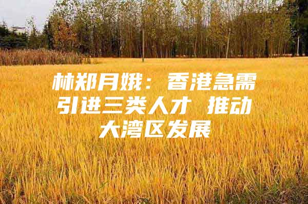 林郑月娥：香港急需引进三类人才 推动大湾区发展
