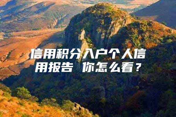 信用积分入户个人信用报告 你怎么看？