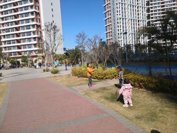 人才引进入户深圳申报过程怎么轻松应对？1600+字干货，小白也能看懂！