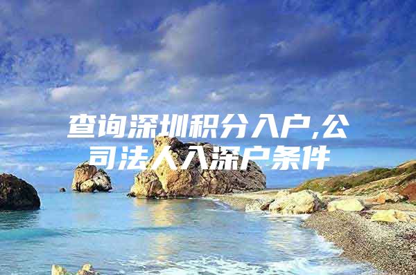 查询深圳积分入户,公司法人入深户条件