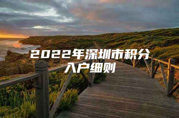 2022年深圳市积分入户细则
