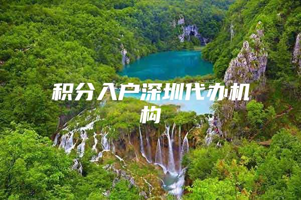 积分入户深圳代办机构