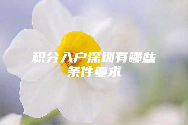 积分入户深圳有哪些条件要求