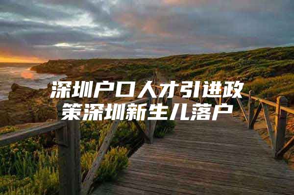 深圳户口人才引进政策深圳新生儿落户