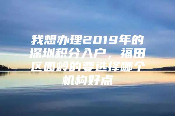 我想办理2019年的深圳积分入户，福田区园岭的要选择哪个机构好点