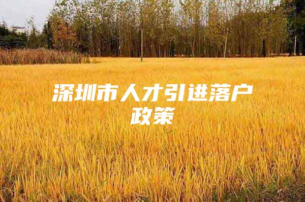 深圳市人才引进落户政策