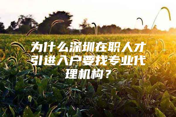 为什么深圳在职人才引进入户要找专业代理机构？