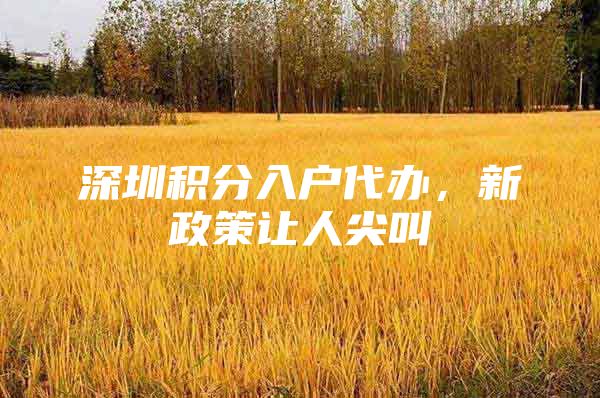 深圳积分入户代办，新政策让人尖叫