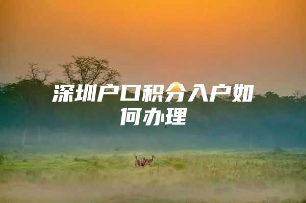 深圳户口积分入户如何办理