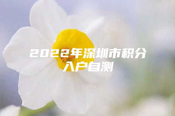 2022年深圳市积分入户自测