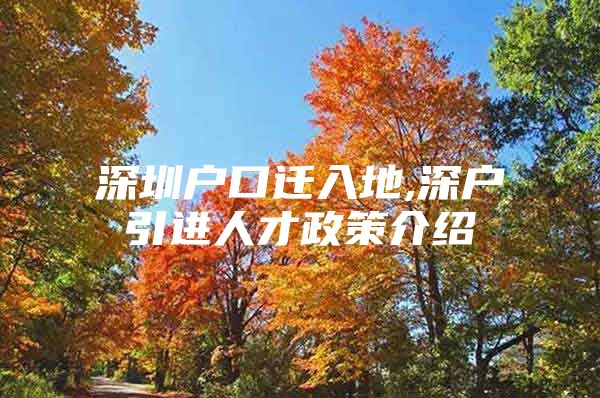 深圳户口迁入地,深户引进人才政策介绍