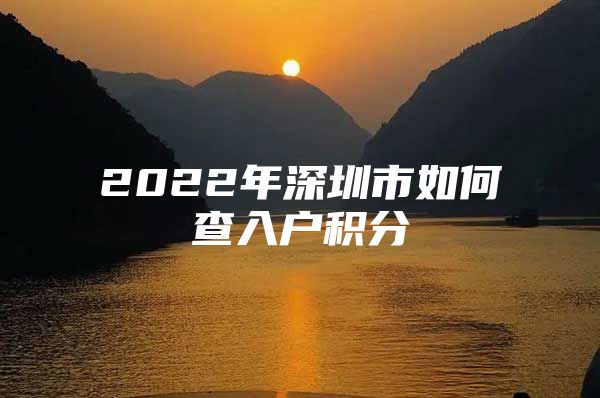 2022年深圳市如何查入户积分