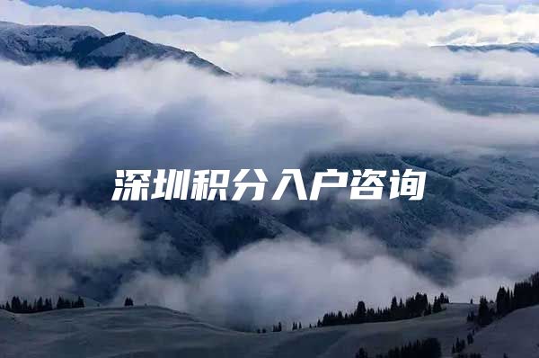深圳积分入户咨询