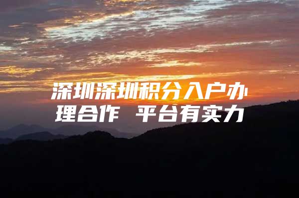 深圳深圳积分入户办理合作 平台有实力