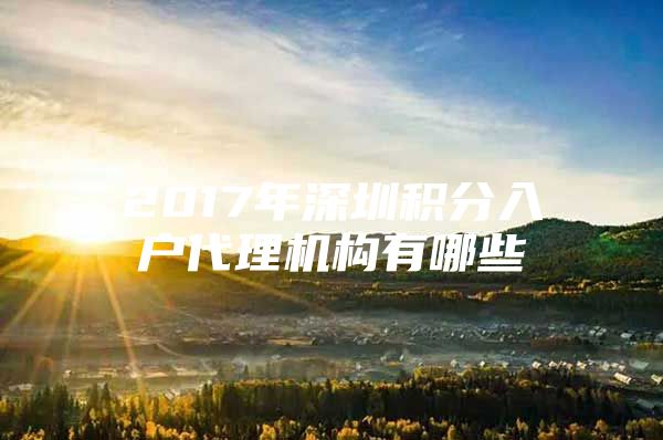 2017年深圳积分入户代理机构有哪些