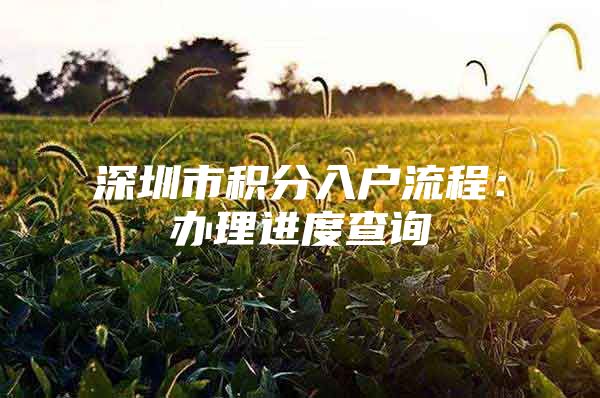 深圳市积分入户流程：办理进度查询