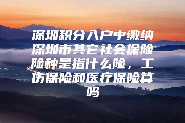 深圳积分入户中缴纳深圳市其它社会保险险种是指什么险，工伤保险和医疗保险算吗