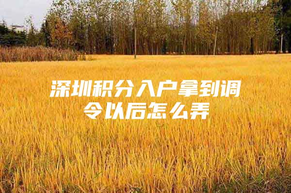 深圳积分入户拿到调令以后怎么弄