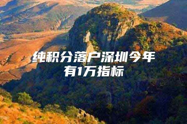 纯积分落户深圳今年有1万指标