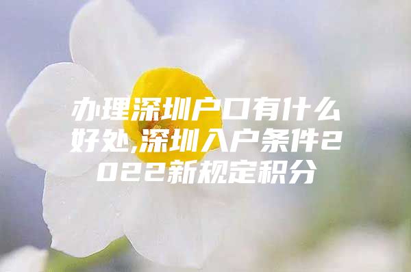 办理深圳户口有什么好处,深圳入户条件2022新规定积分