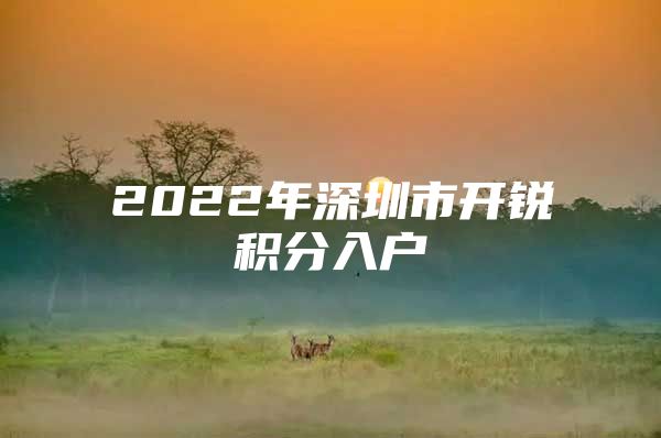 2022年深圳市开锐积分入户