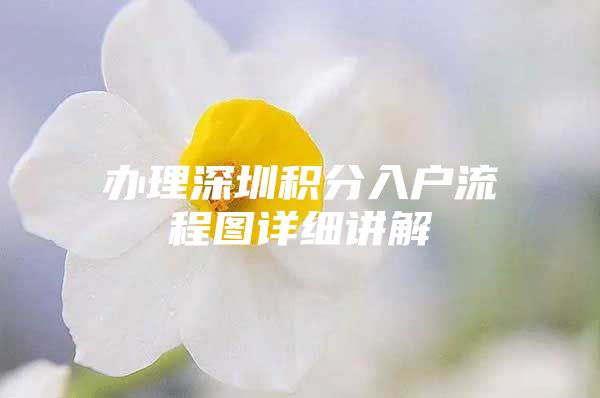 办理深圳积分入户流程图详细讲解