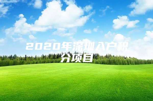 2020年深圳入户积分项目