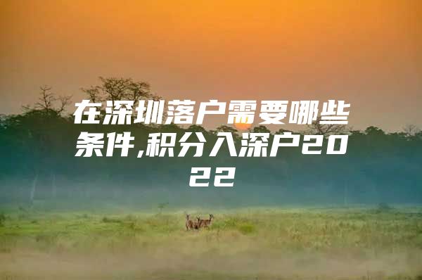 在深圳落户需要哪些条件,积分入深户2022