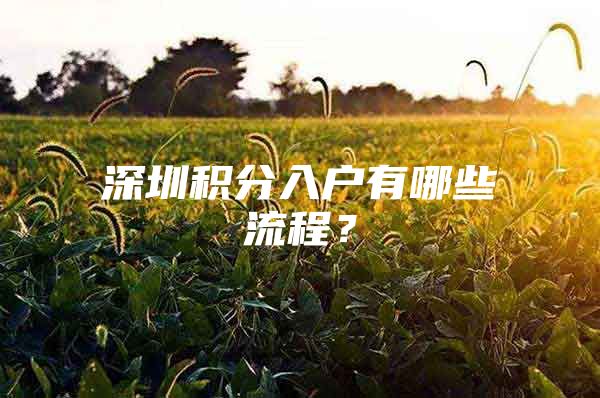 深圳积分入户有哪些流程？