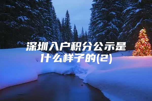 深圳入户积分公示是什么样子的(2)