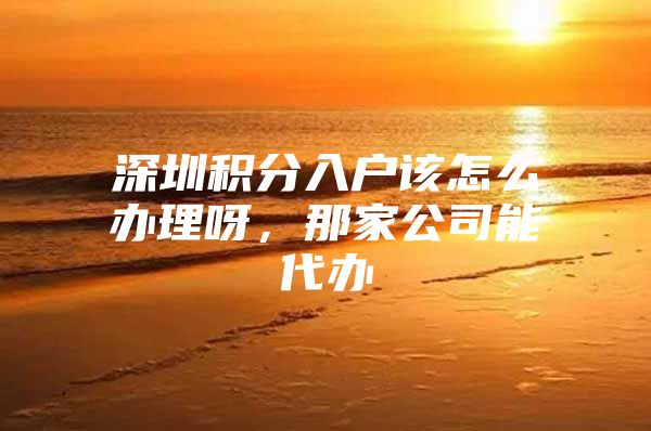 深圳积分入户该怎么办理呀，那家公司能代办