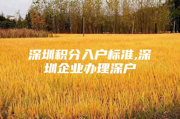深圳积分入户标准,深圳企业办理深户
