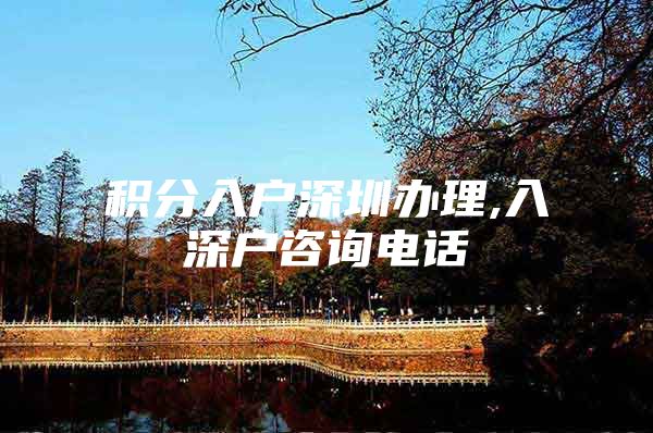 积分入户深圳办理,入深户咨询电话
