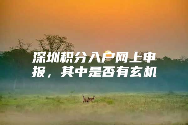 深圳积分入户网上申报，其中是否有玄机