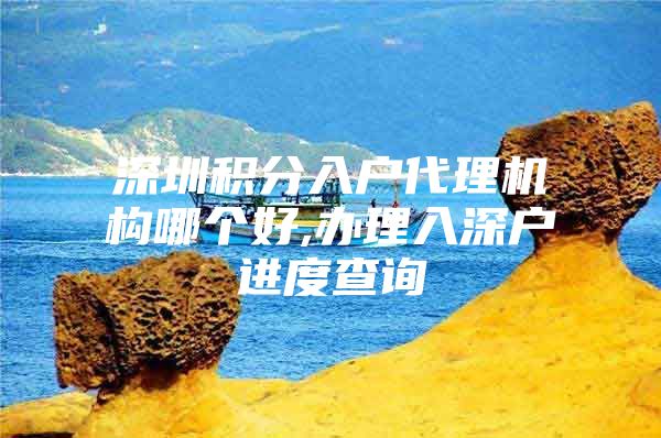 深圳积分入户代理机构哪个好,办理入深户进度查询