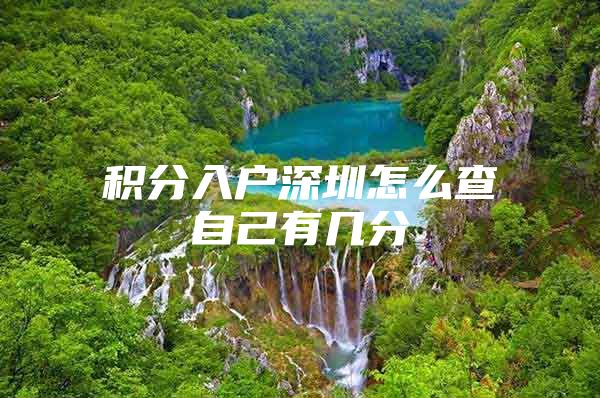 积分入户深圳怎么查自己有几分