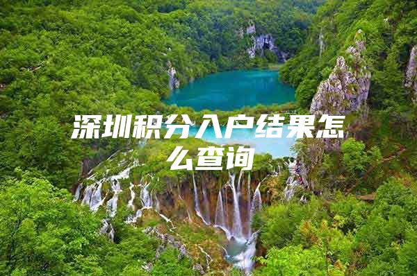 深圳积分入户结果怎么查询