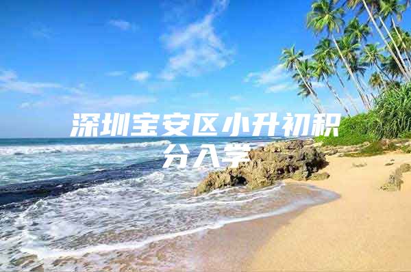 深圳宝安区小升初积分入学